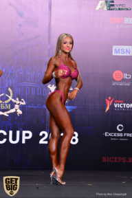 IFBB Elite Pro Moscow Bodybuilding Cup - 2018