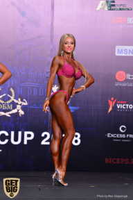 IFBB Elite Pro Moscow Bodybuilding Cup - 2018