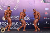 IFBB Elite Pro Moscow Bodybuilding Cup - 2018