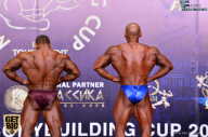 IFBB Elite Pro Moscow Bodybuilding Cup - 2018