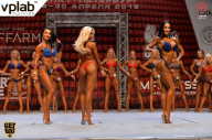 Кубок России по бодибилдингу - 2018