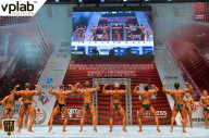 Кубок России по бодибилдингу - 2018