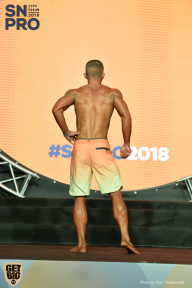 SN PRO EXPO - 2018