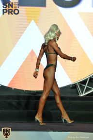 SN PRO EXPO - 2018
