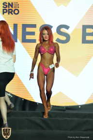 SN PRO EXPO - 2018