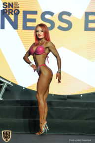SN PRO EXPO - 2018