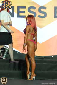 SN PRO EXPO - 2018