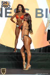 SN PRO EXPO - 2018