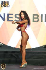 SN PRO EXPO - 2018