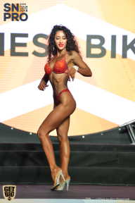 SN PRO EXPO - 2018