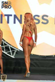 SN PRO EXPO - 2018
