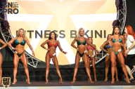 SN PRO EXPO - 2018
