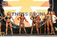 SN PRO EXPO - 2018