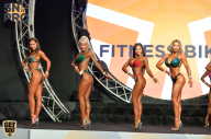 SN PRO EXPO - 2018