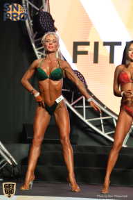 SN PRO EXPO - 2018