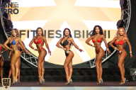 SN PRO EXPO - 2018