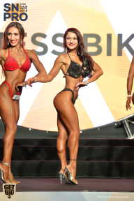SN PRO EXPO - 2018