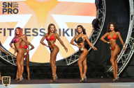 SN PRO EXPO - 2018