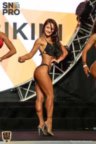 SN PRO EXPO - 2018