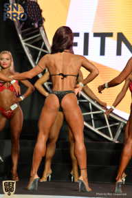 SN PRO EXPO - 2018