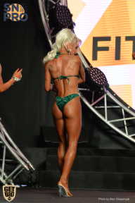 SN PRO EXPO - 2018