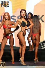 SN PRO EXPO - 2018