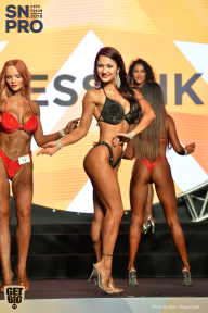 SN PRO EXPO - 2018