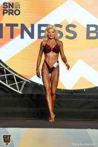 SN PRO EXPO - 2018
