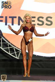 SN PRO EXPO - 2018