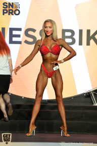 SN PRO EXPO - 2018