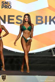 SN PRO EXPO - 2018