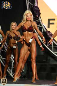 SN PRO EXPO - 2018