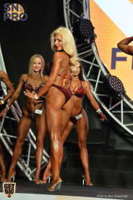 SN PRO EXPO - 2018