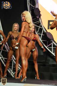 SN PRO EXPO - 2018