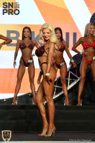 SN PRO EXPO - 2018