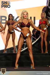 SN PRO EXPO - 2018