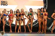 SN PRO EXPO - 2018