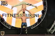 SN PRO EXPO - 2018