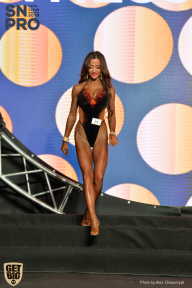 SN PRO EXPO - 2018