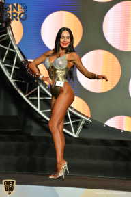 SN PRO EXPO - 2018