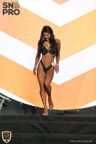 SN PRO EXPO - 2018