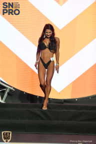 SN PRO EXPO - 2018