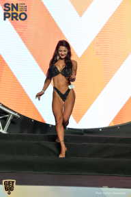 SN PRO EXPO - 2018
