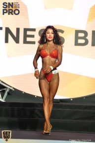 SN PRO EXPO - 2018