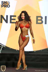 SN PRO EXPO - 2018