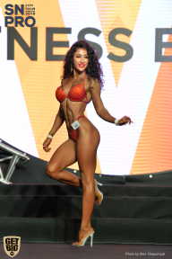 SN PRO EXPO - 2018