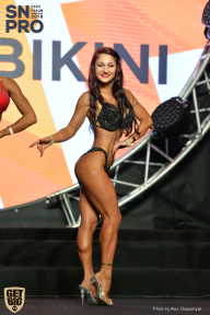 SN PRO EXPO - 2018