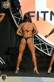 SN PRO EXPO - 2018
