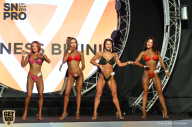 SN PRO EXPO - 2018