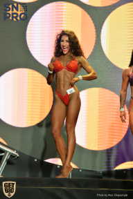 SN PRO EXPO - 2018